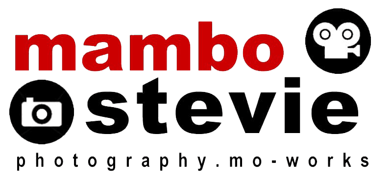 partners-mambo-stevie